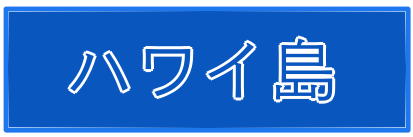 ハワイ島透析