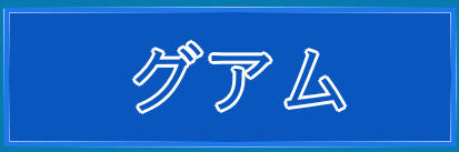 グアム透析