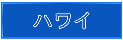 ハワイ透析