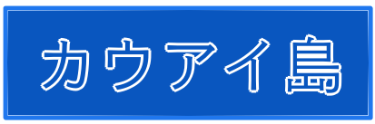 カウアイ島透析